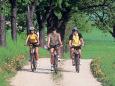 Radfahren-NOE.jpg